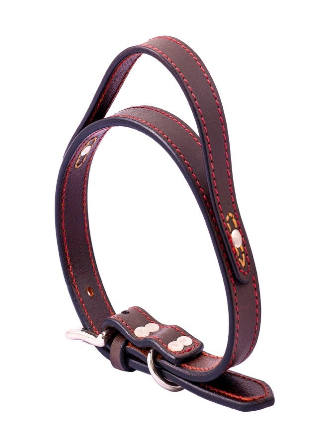 ADIL'S Adil’S Dog Genuine Leather Dog Collar with Strap Handle for Medium Large Dogs, Adjustable Heavy Duty Handle Dog Collar with Double pin Buckle, Neck Size (12 to 26) inches, Brown - Image 2